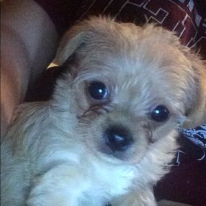 Meet your Posher, Mable